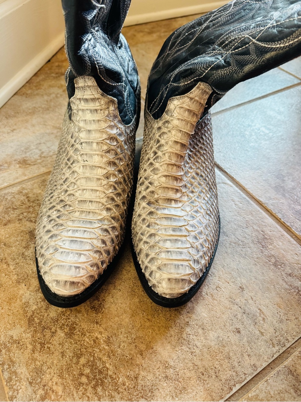 Dan Post Black Shaft with Natural Python Toe Western Boot Size 12 - Picture 5 of 11